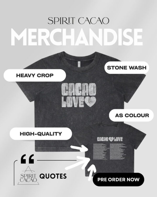 Ladies Crop Tee (Stone Wash)